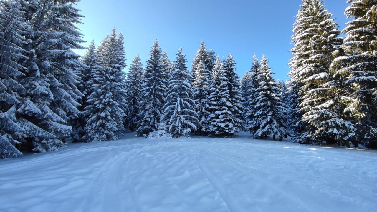 Ema - Zlatar * Нова-Варош